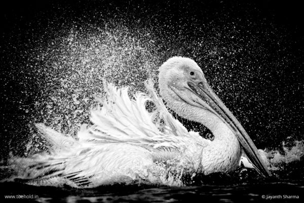 BW Photography (90 Mins Course) - Image 3