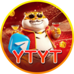 Profile photo of qwe user